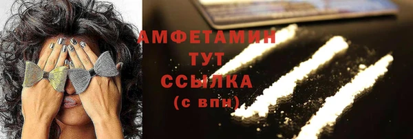 гидра Пестово