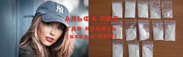 гидра Пестово