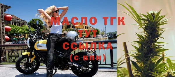 экстази Ельня