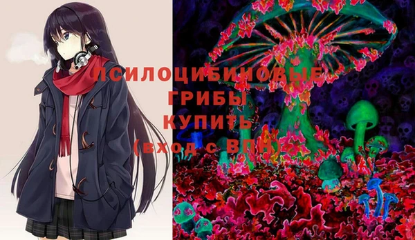 apvp Елизово