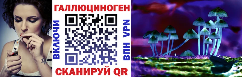 Галлюциногенные грибы Cubensis  MEGA ссылки  Салаир 
