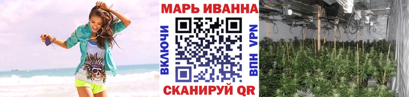 Бошки марихуана конопля  хочу наркоту  Салаир 